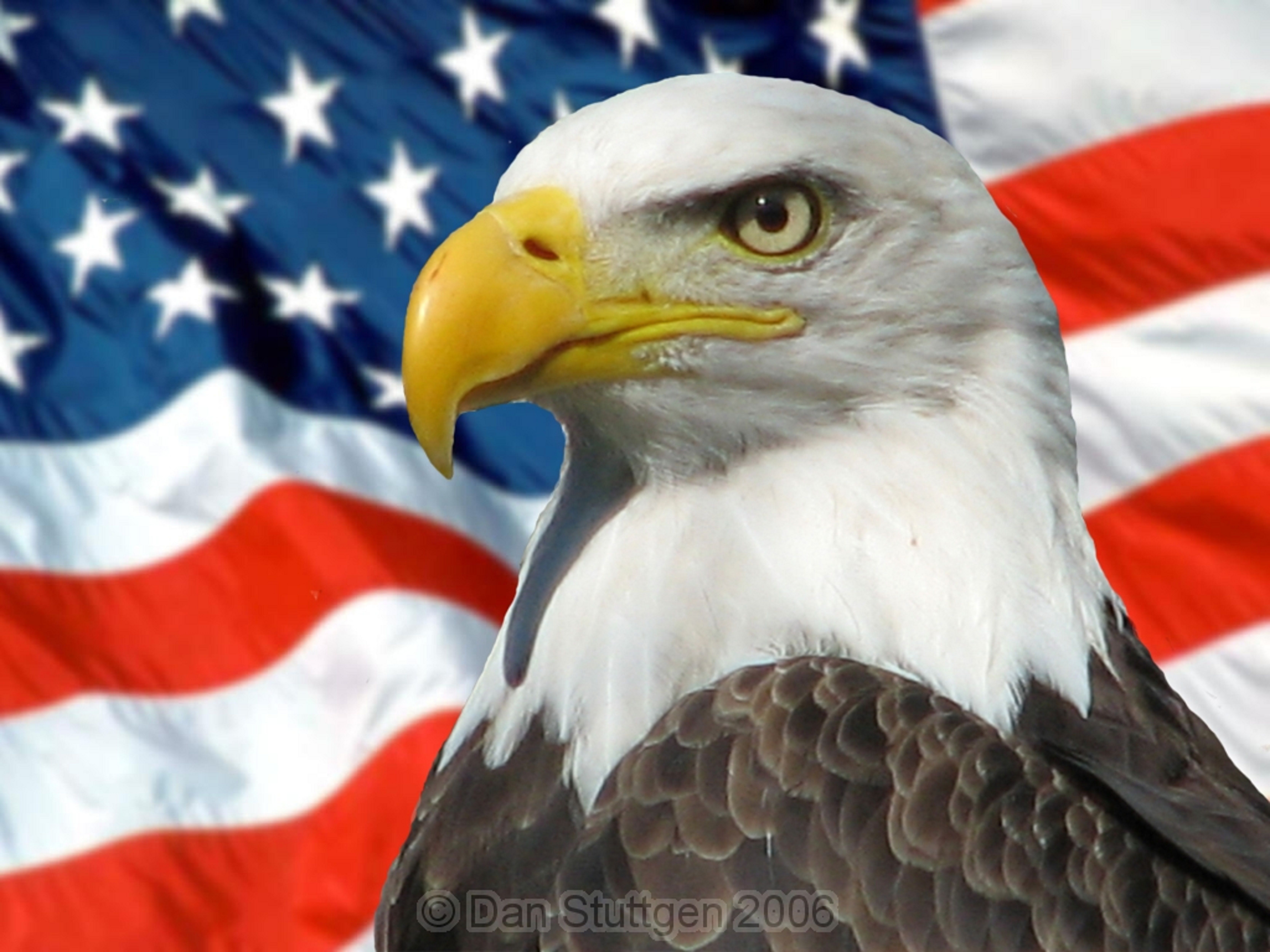 Иммиграция в США
